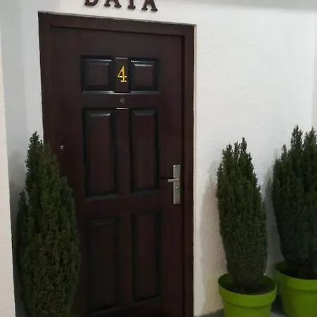 Data * Novi Sad